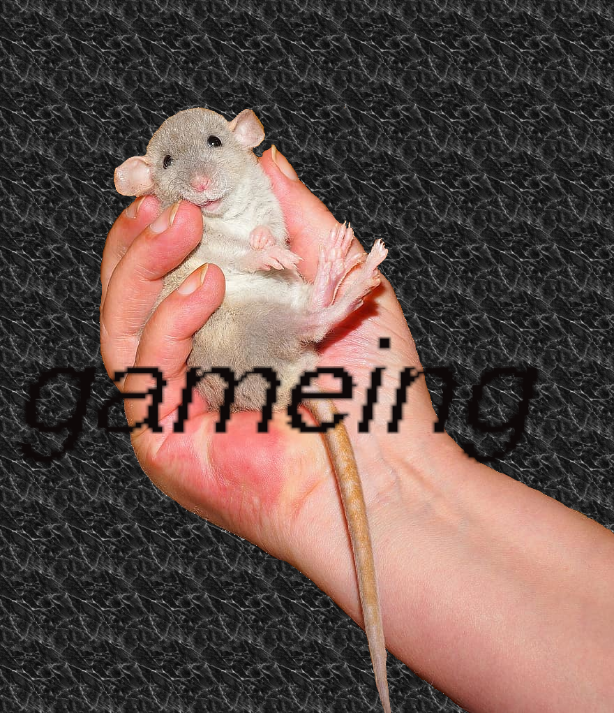 a human hand holding a rat with text that says gameing